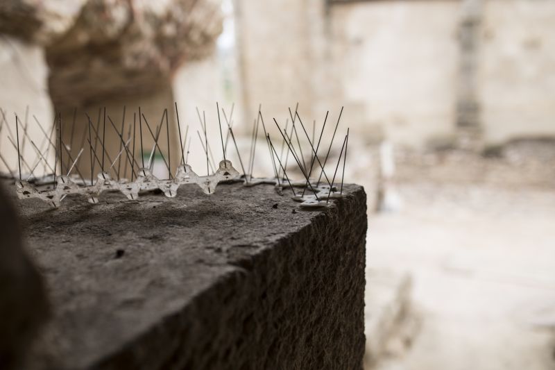 Bird Spikes Installation Cost — Cost of Bird Spikes Installation