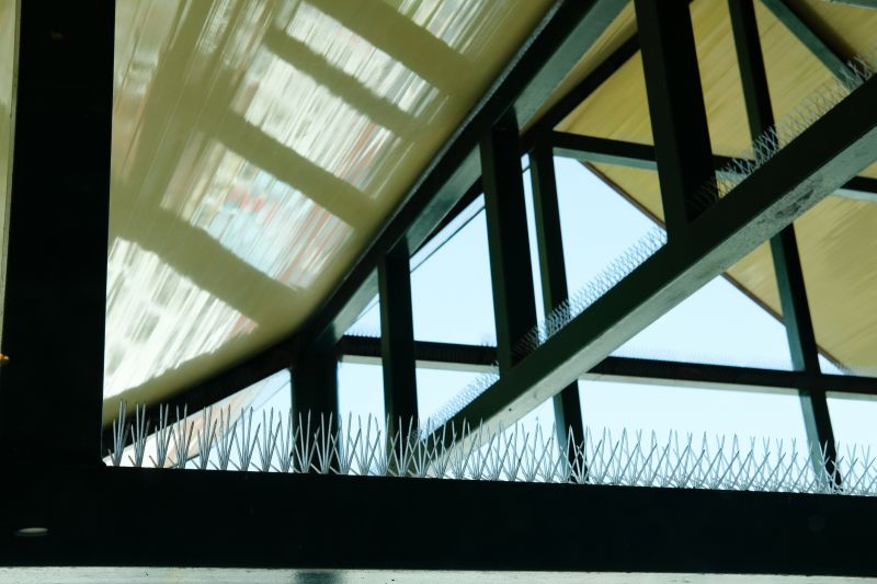 Bird Spikes Installation