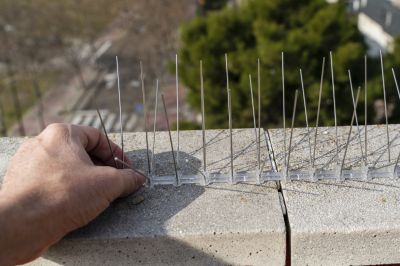 Bird Spikes on Balcony