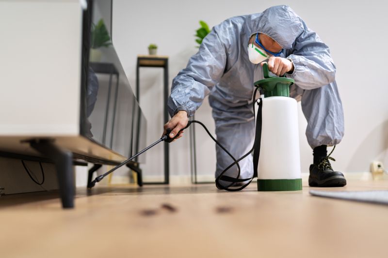 Pest Fumigation Service in San Jose, CA