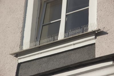 Bird deterrence